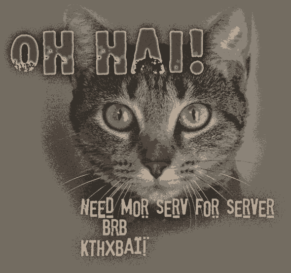 Oh Hai! Need more serv for server. BRB Kthxbai!